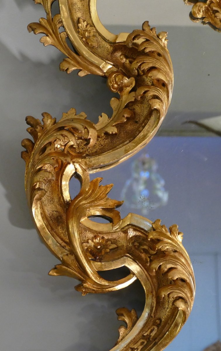 Rocaille Mirror In Golden Wood 19th Century-photo-5