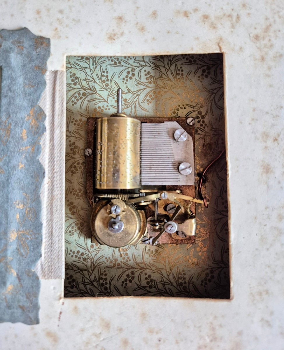 Music Box Photo Album Circa 1890-1910-photo-4