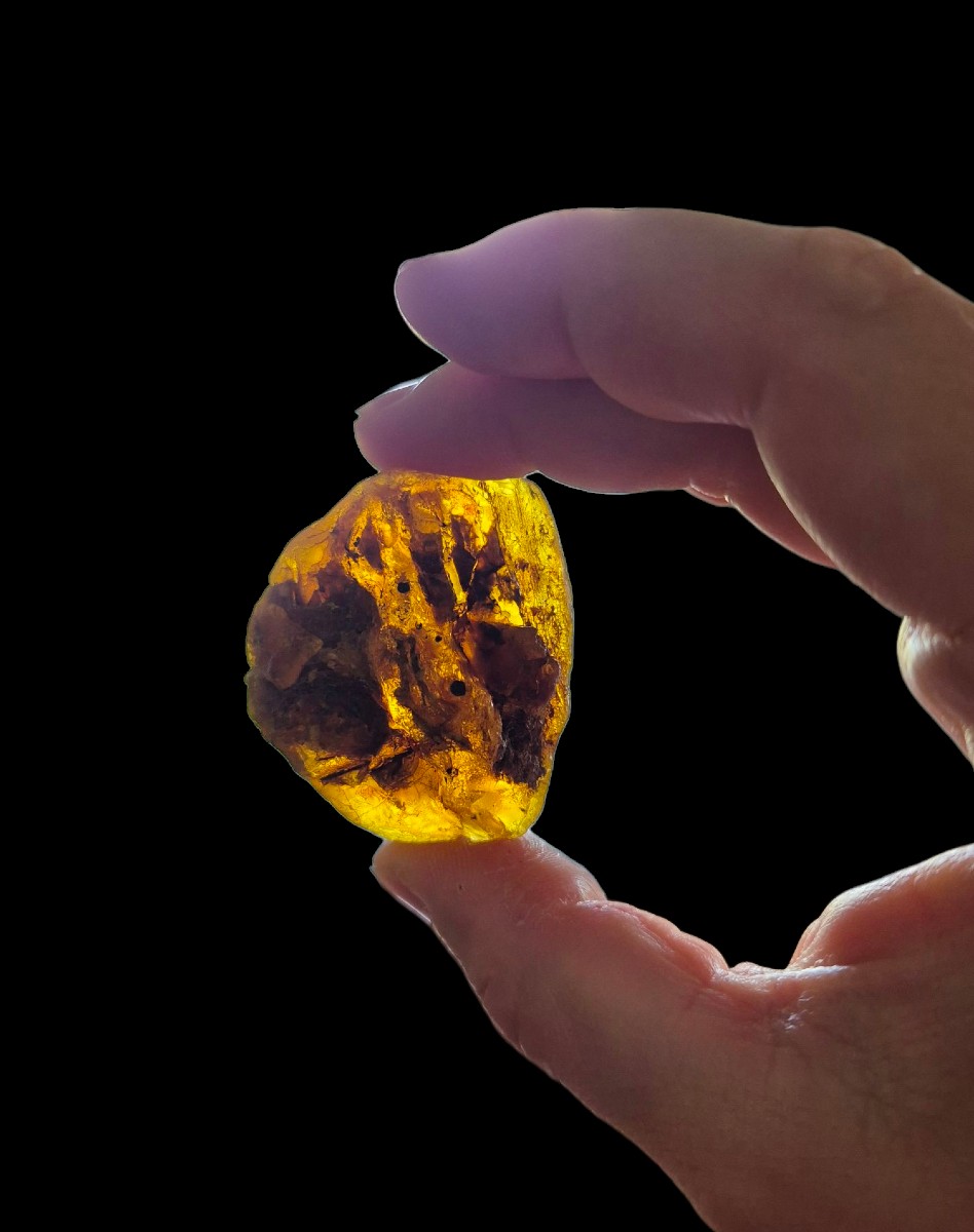 Baltic Sea Amber Duo -photo-3