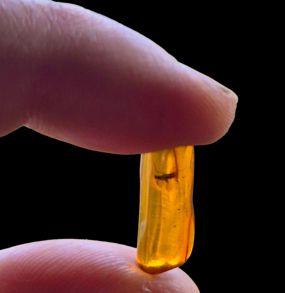Baltic Sea Amber Duo -photo-4