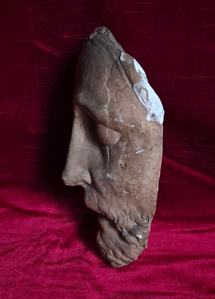 Patinated Plaster Death Mask, 19th Century - Almost Christ-like Face -photo-3
