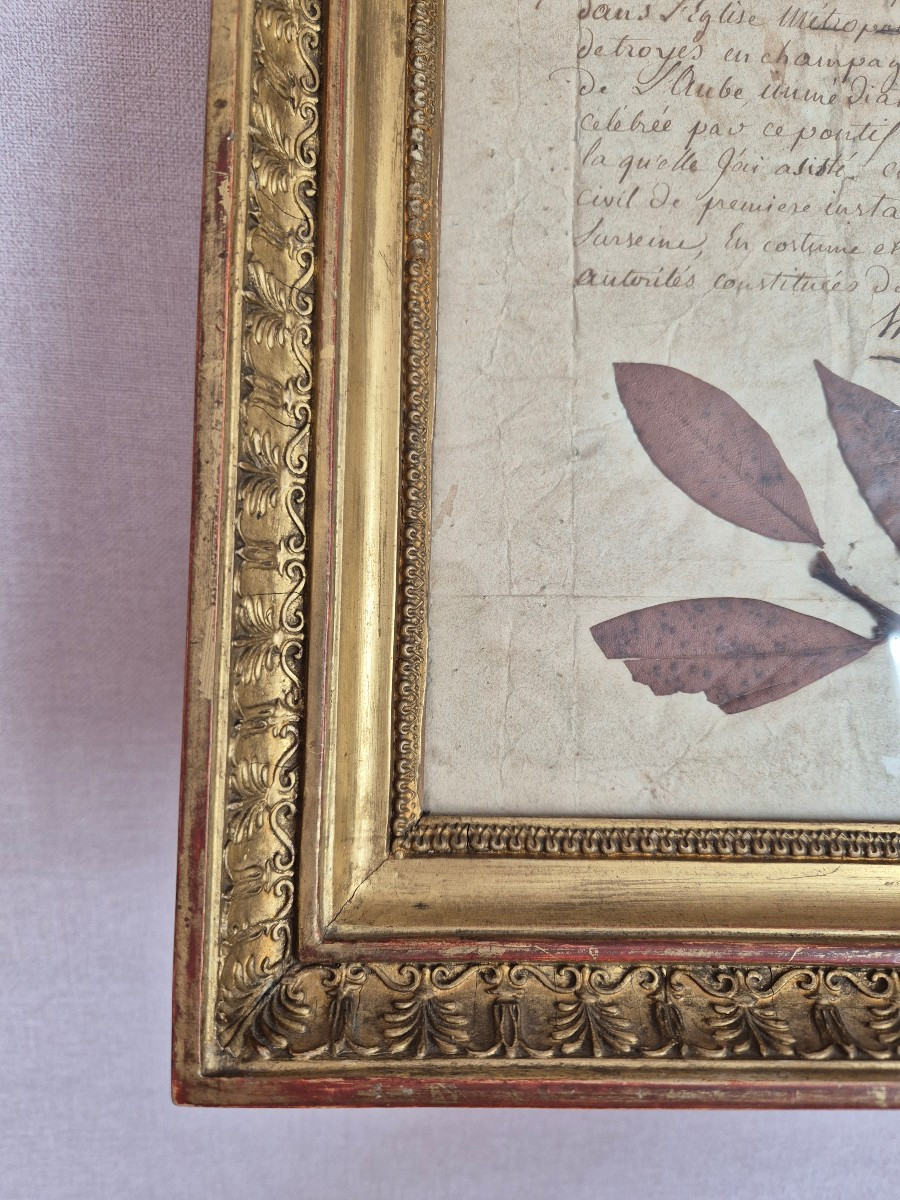 Empire Period Reliquary Frame Of A Laurel Tree Blessed By Pope Pius VII In 1805-photo-3