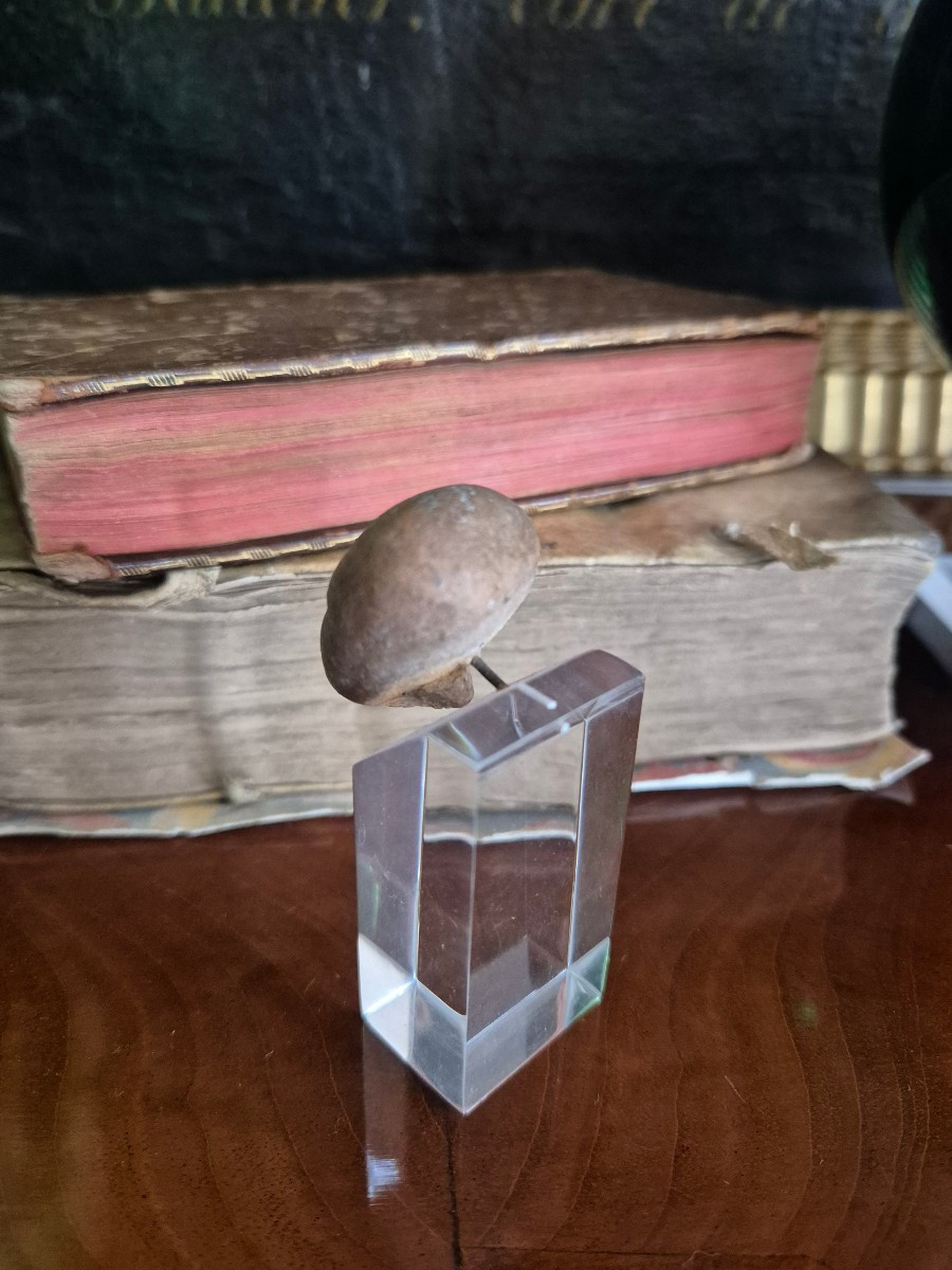 Tête en terre cuite Mexique - Culture précolombienne -photo-1