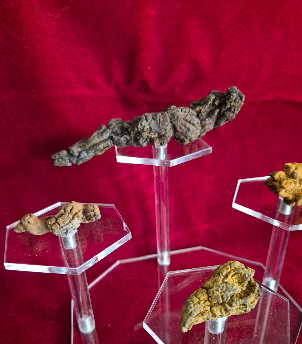 Fossiles - Six coprolithes de Reptile de Madagascar Ere Tertiaire-photo-2