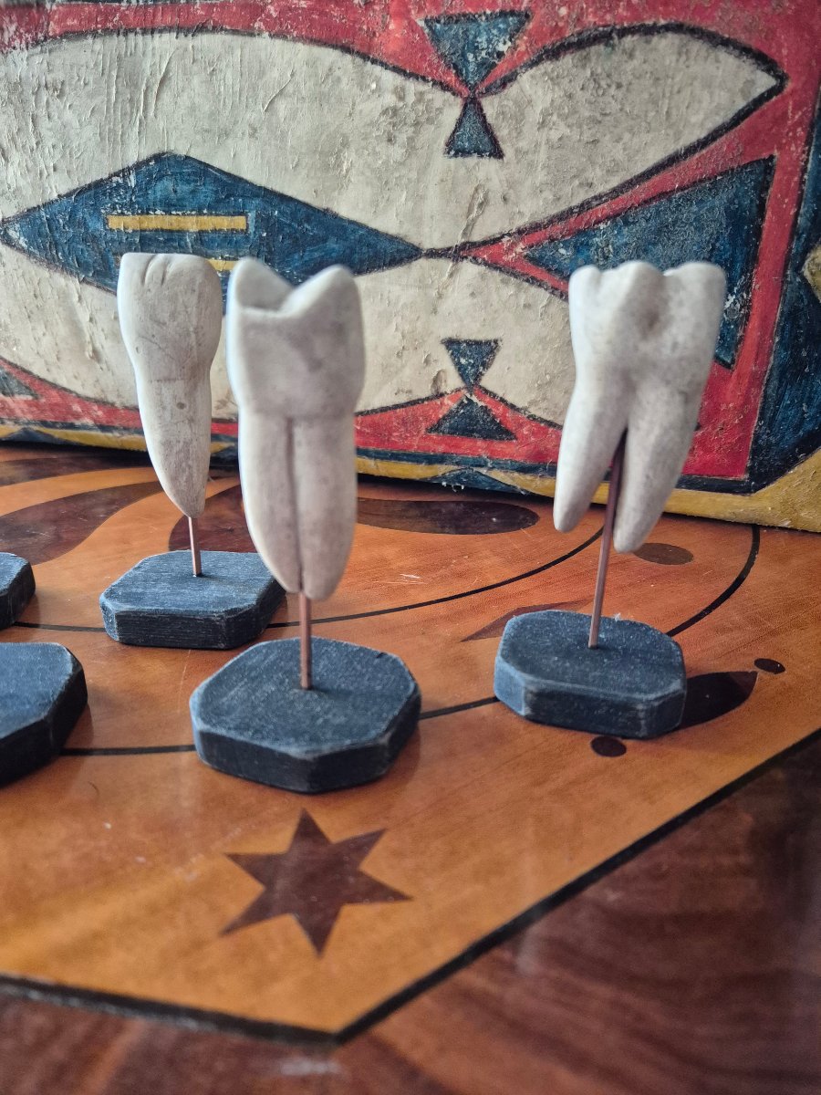 Dental Anatomical Models - Set 2-photo-3
