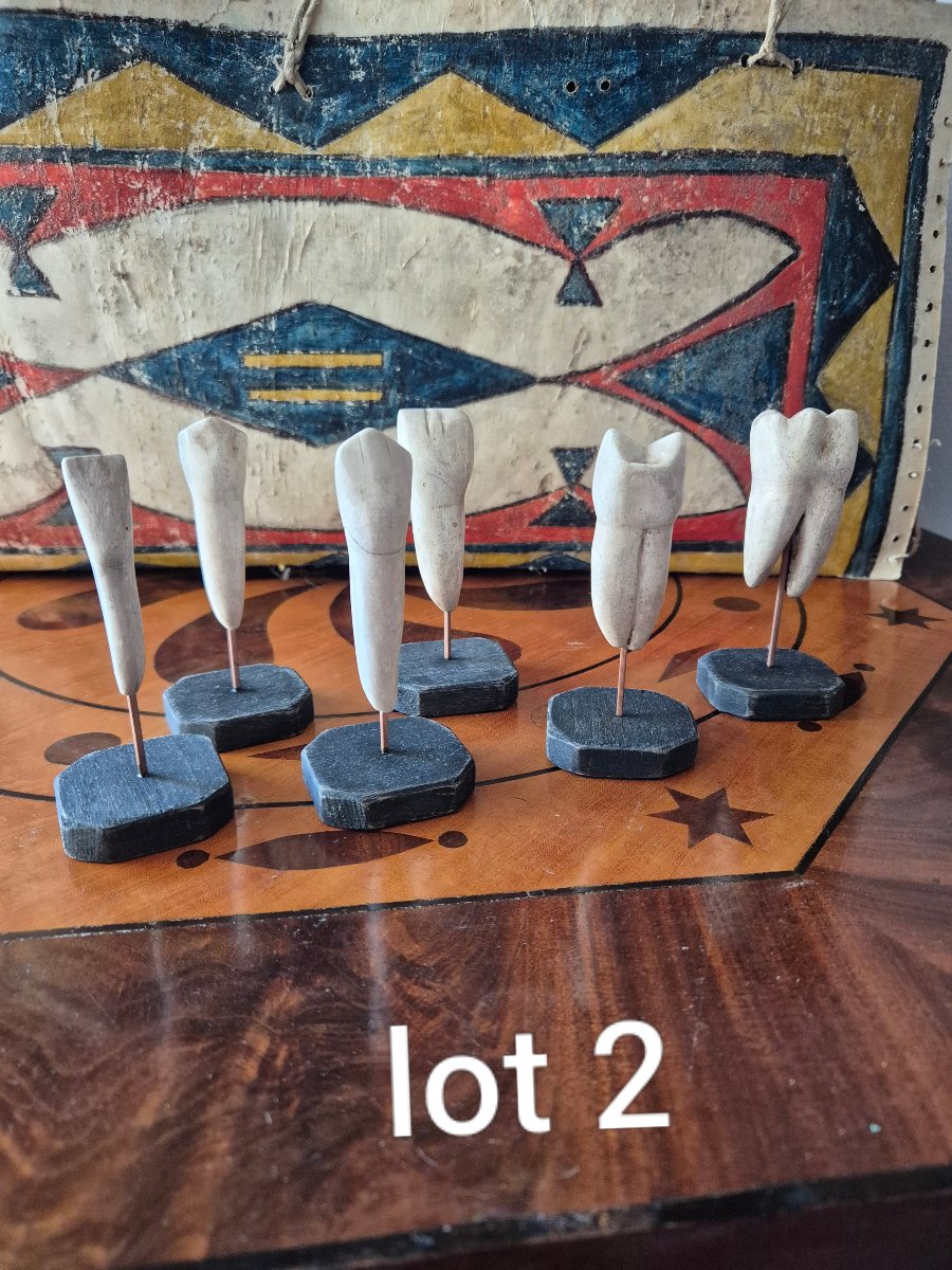 Dental Anatomical Models - Set 2-photo-1