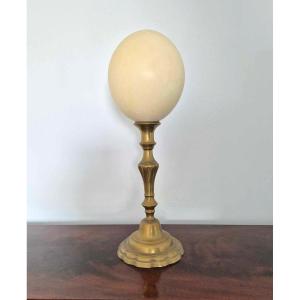 Ostrich Egg Base – Naturalia