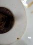 1610091-alb-68b9b246b0fbe.jpg