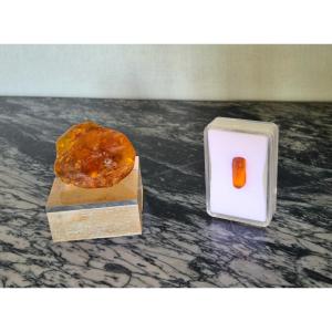 Baltic Sea Amber Duo 