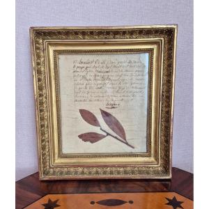 Empire Period Reliquary Frame Of A Laurel Tree Blessed By Pope Pius VII In 1805