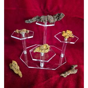 Fossiles - Six coprolithes de Reptile de Madagascar Ere Tertiaire
