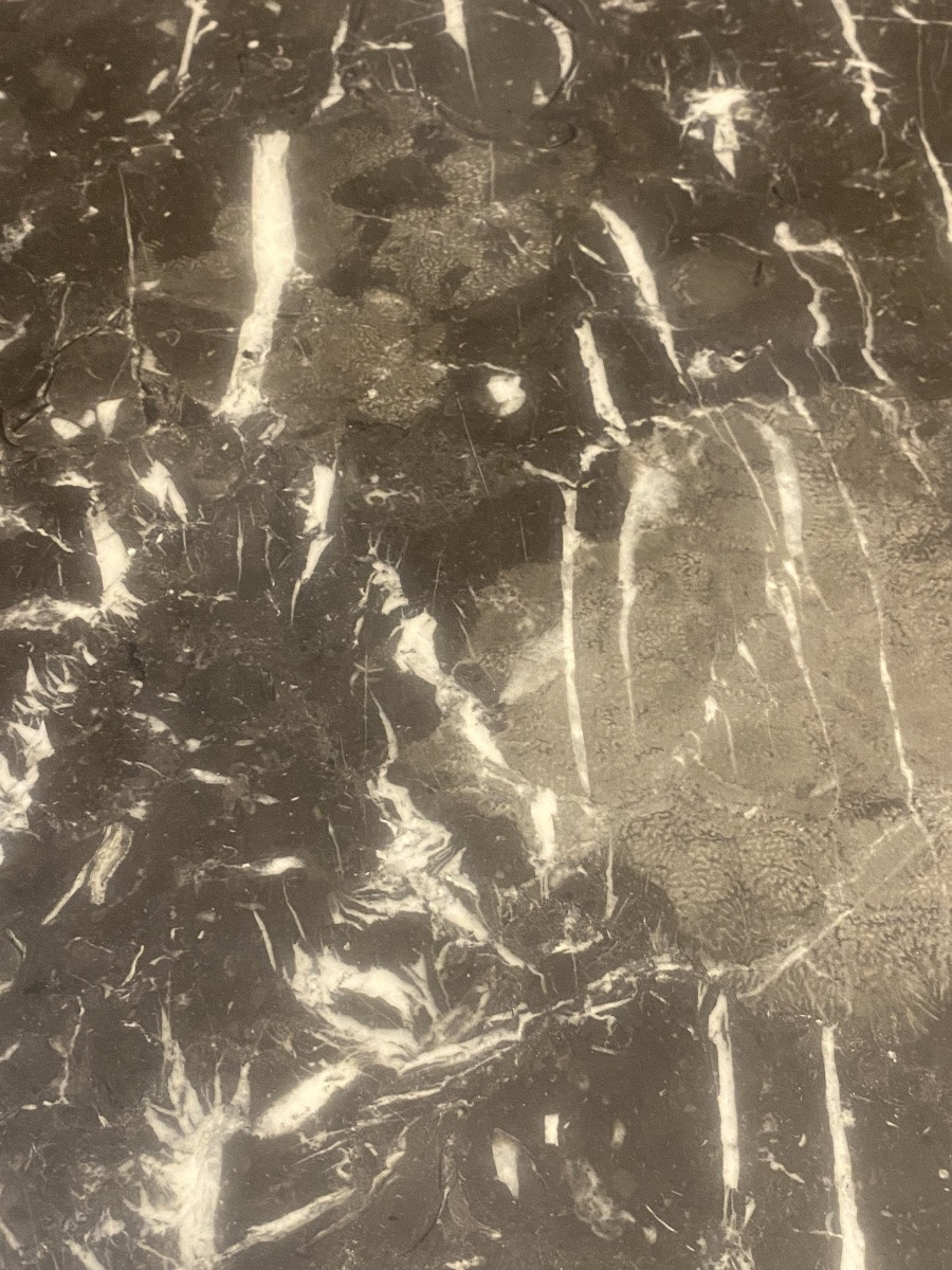 Table tulipe  Saarinen Knoll -photo-4