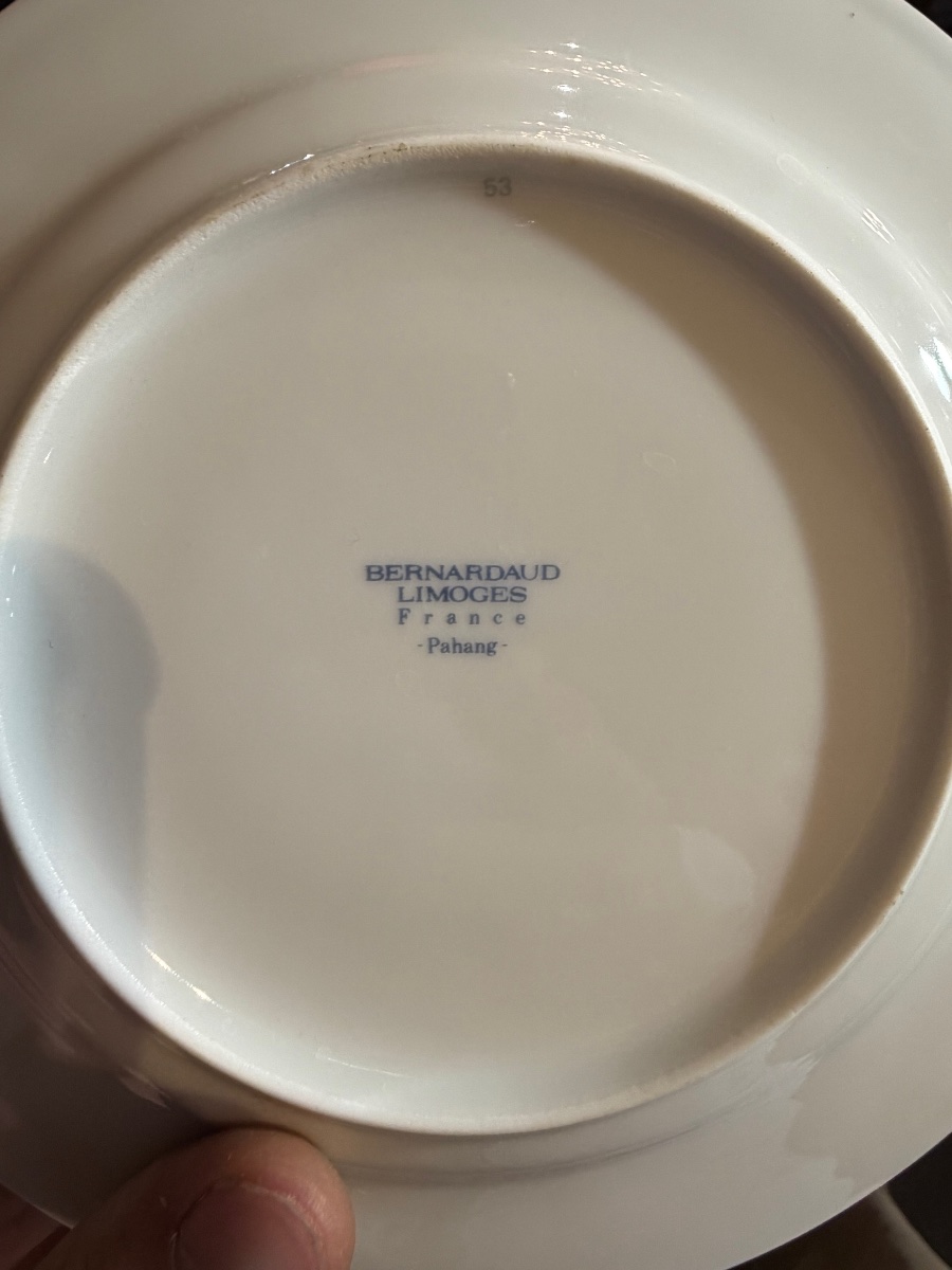 Bernardaud Limoges Porcelain Dinner Service, “pahang” Design — 75 Pieces-photo-2