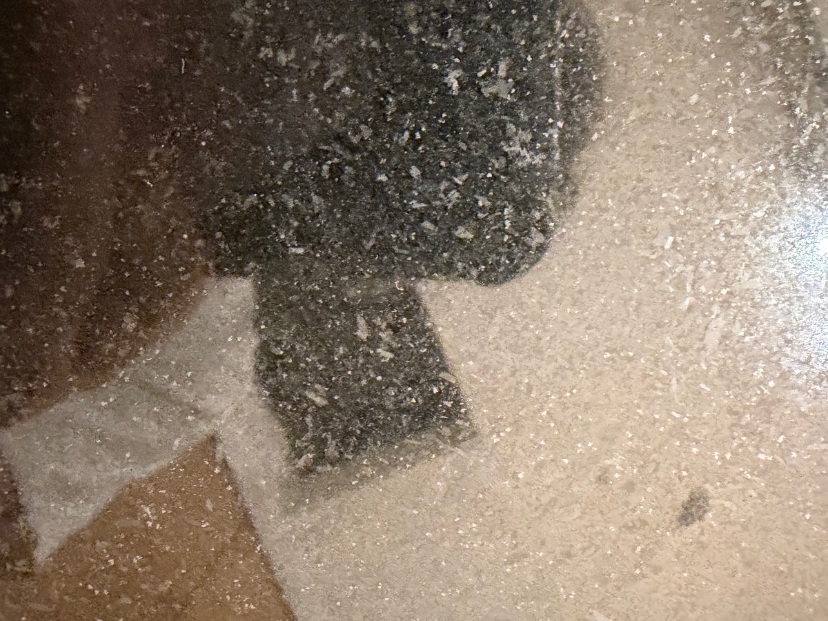 Table Nomos de Norman Foster pour Tecno, commande spéciale en granite du Zimbabwe, Italie-photo-1