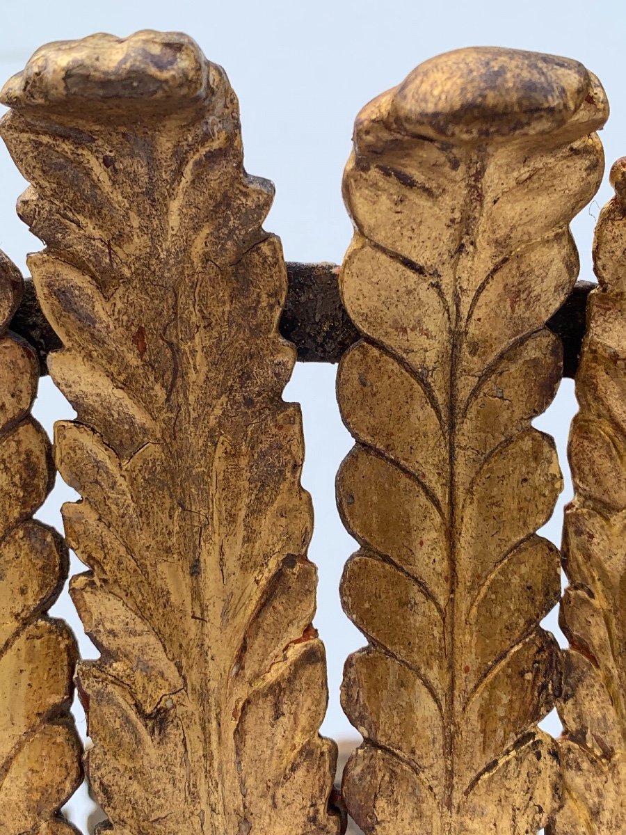 Gilded Wooden Tray With Carved Leaves , Northern Italy, Early XIX Century-photo-4