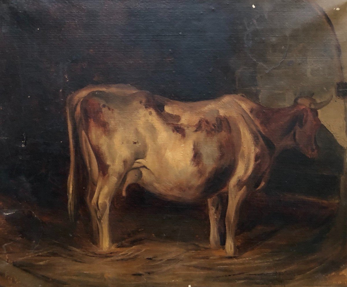 Vache à l'étable, Huile Sur Papier XIXe 