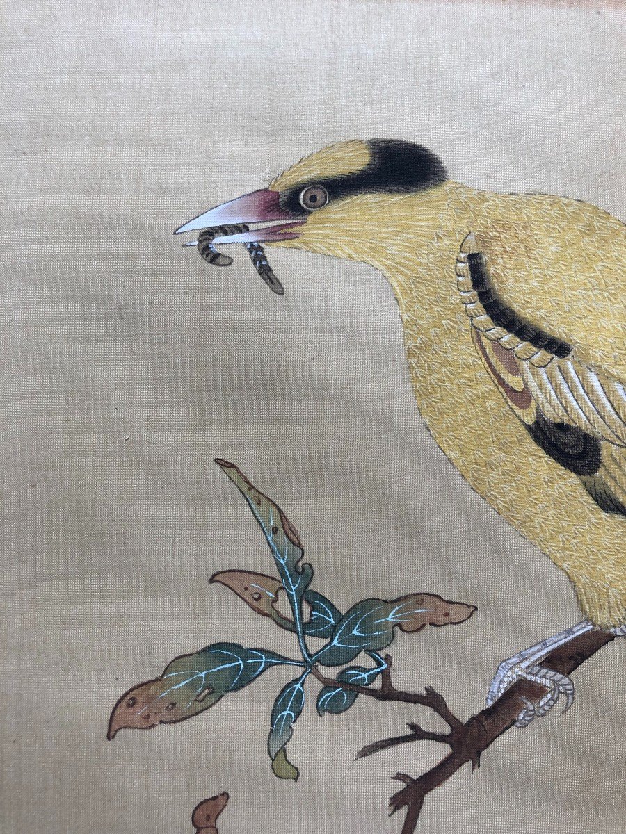 Oiseau Branché, Peinture Sur Soie, Chine, XXe-photo-3