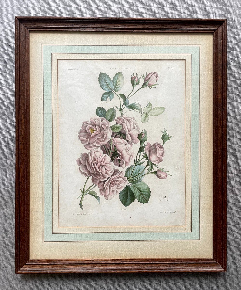 Two Botanical Engravings After Censier And Chirat-photo-2