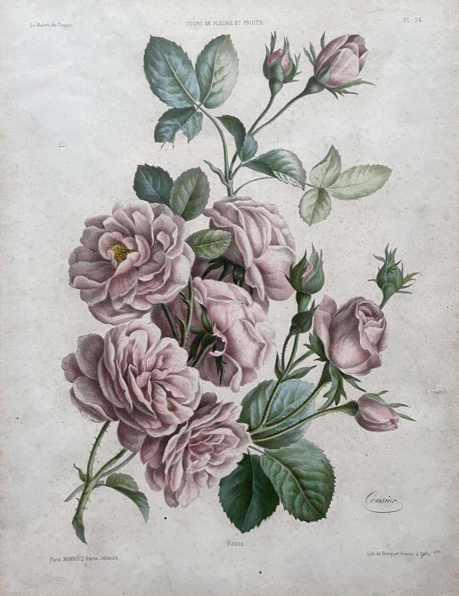 Two Botanical Engravings After Censier And Chirat-photo-3