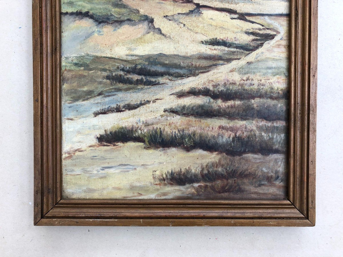 Pines On The Coast, Oil On Canvas, Early 20th Century -photo-4