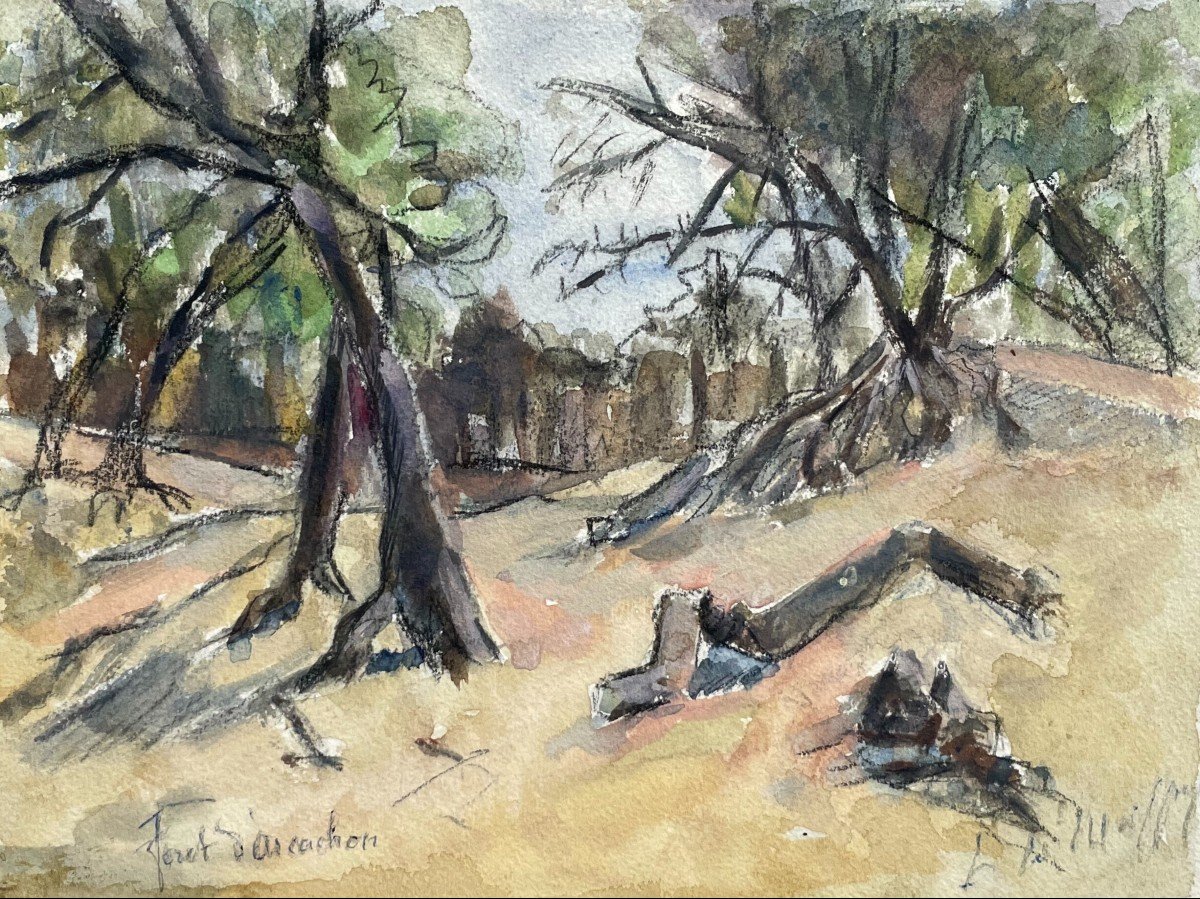 La Forêt d'Arcachon, Aquarelle