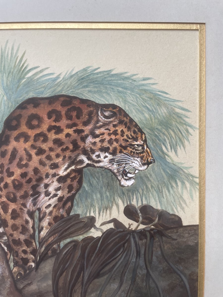 Jaguar Sur Une Branche, Aquarelle Et Gouache, Monogramme AF 1924-photo-3