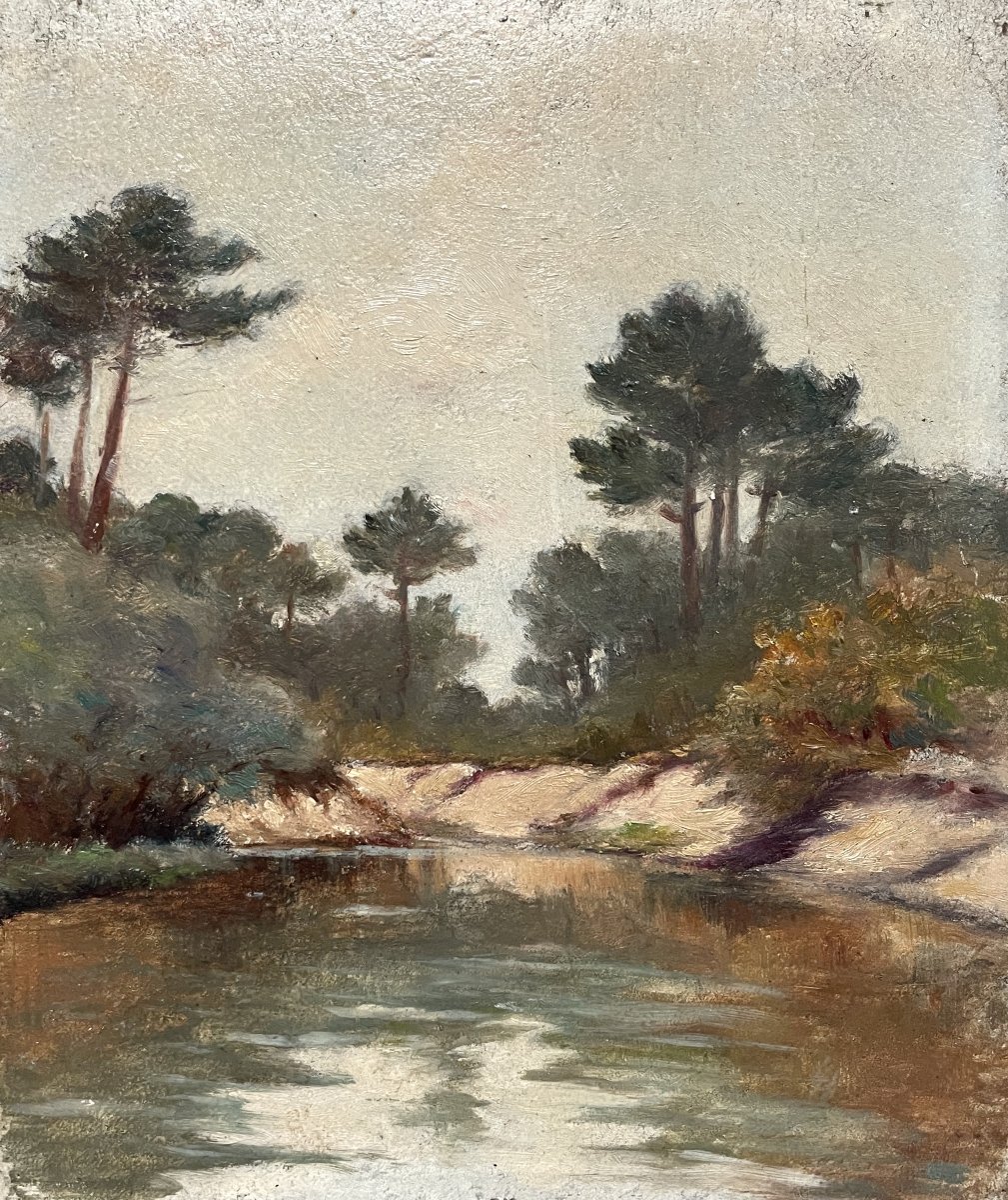 Etang, Sud Ouest De La France, Huile Sur Carton, Début XXe-photo-3