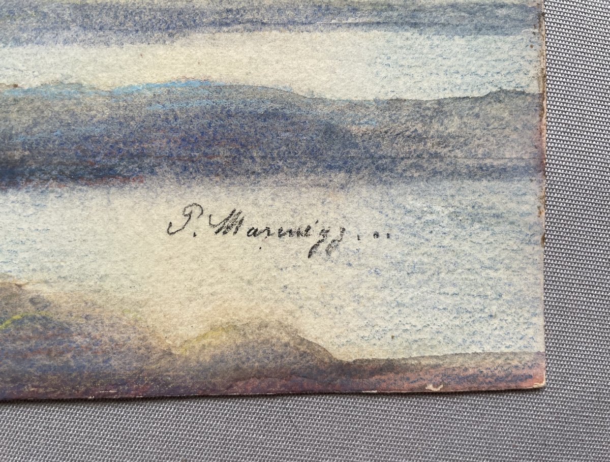 Curlew In Flight, Watercolor, Signature To Be Identified-photo-3