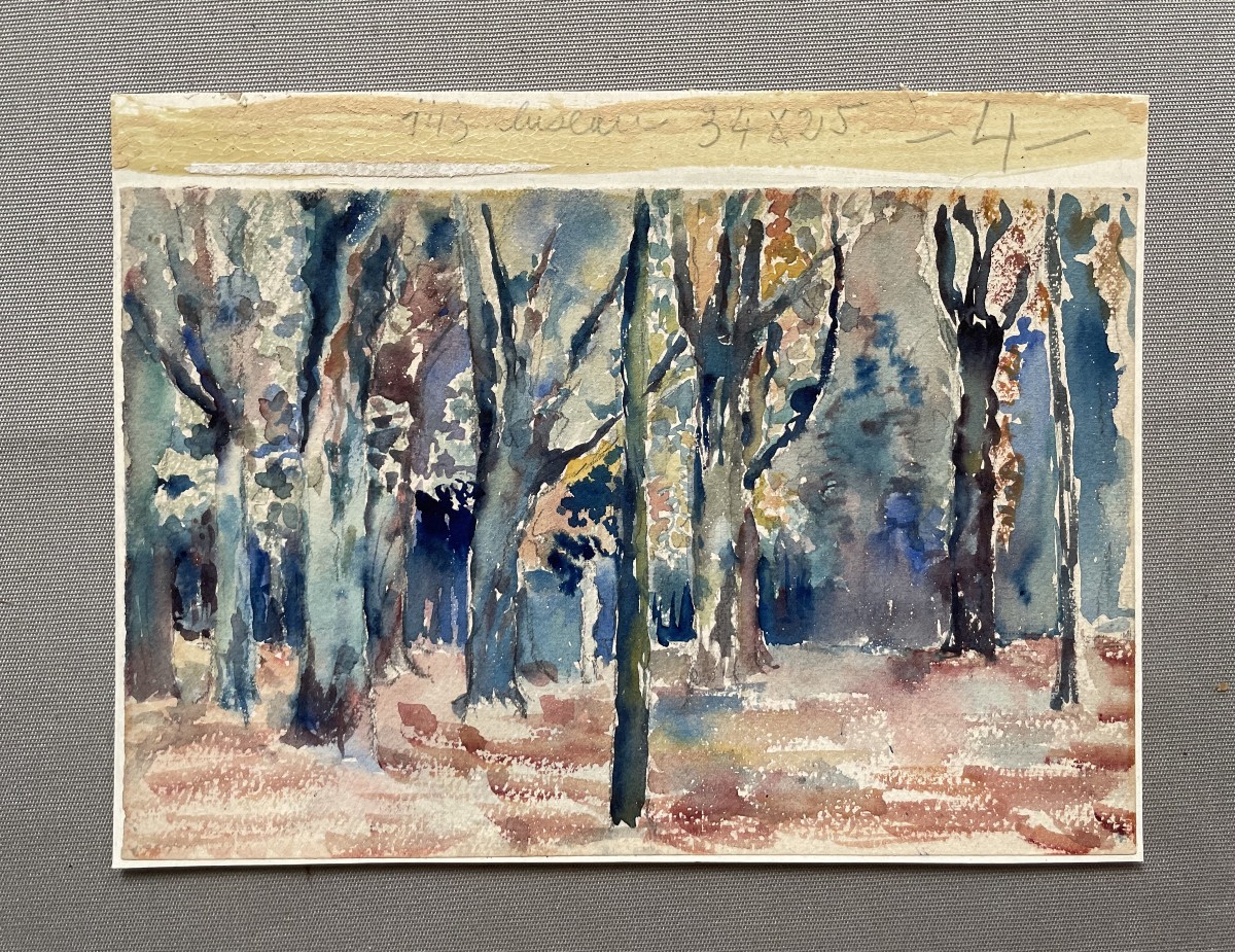 Undergrowth, Watercolor-photo-2