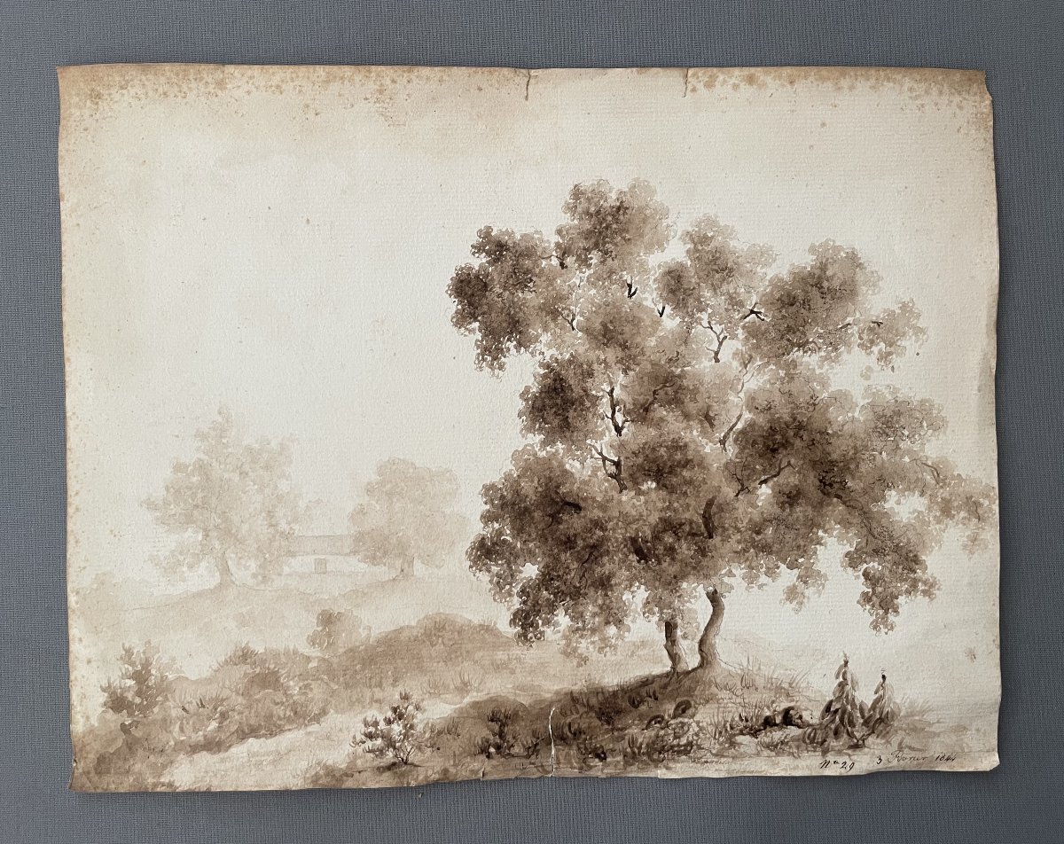 Wooded Landscape, Brown Ink Wash, Dated 1844-photo-2