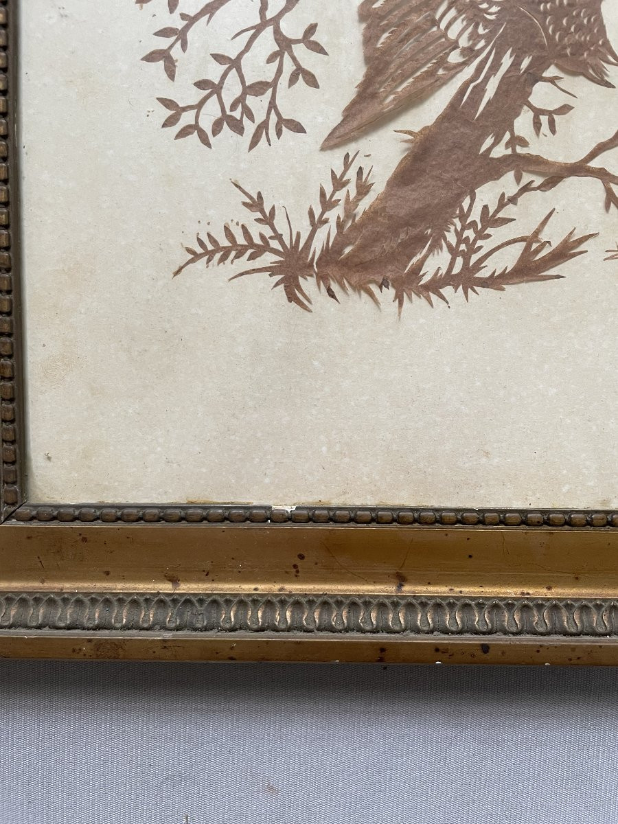 Birds, Paper Cutouts, Signature To Identify-photo-3