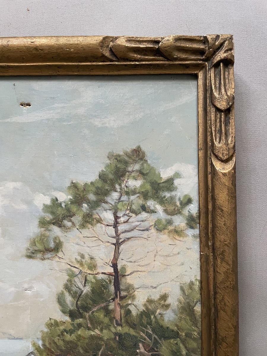 Vue du Bassin d'Arcachon, huile sur toile, début XXe-photo-4