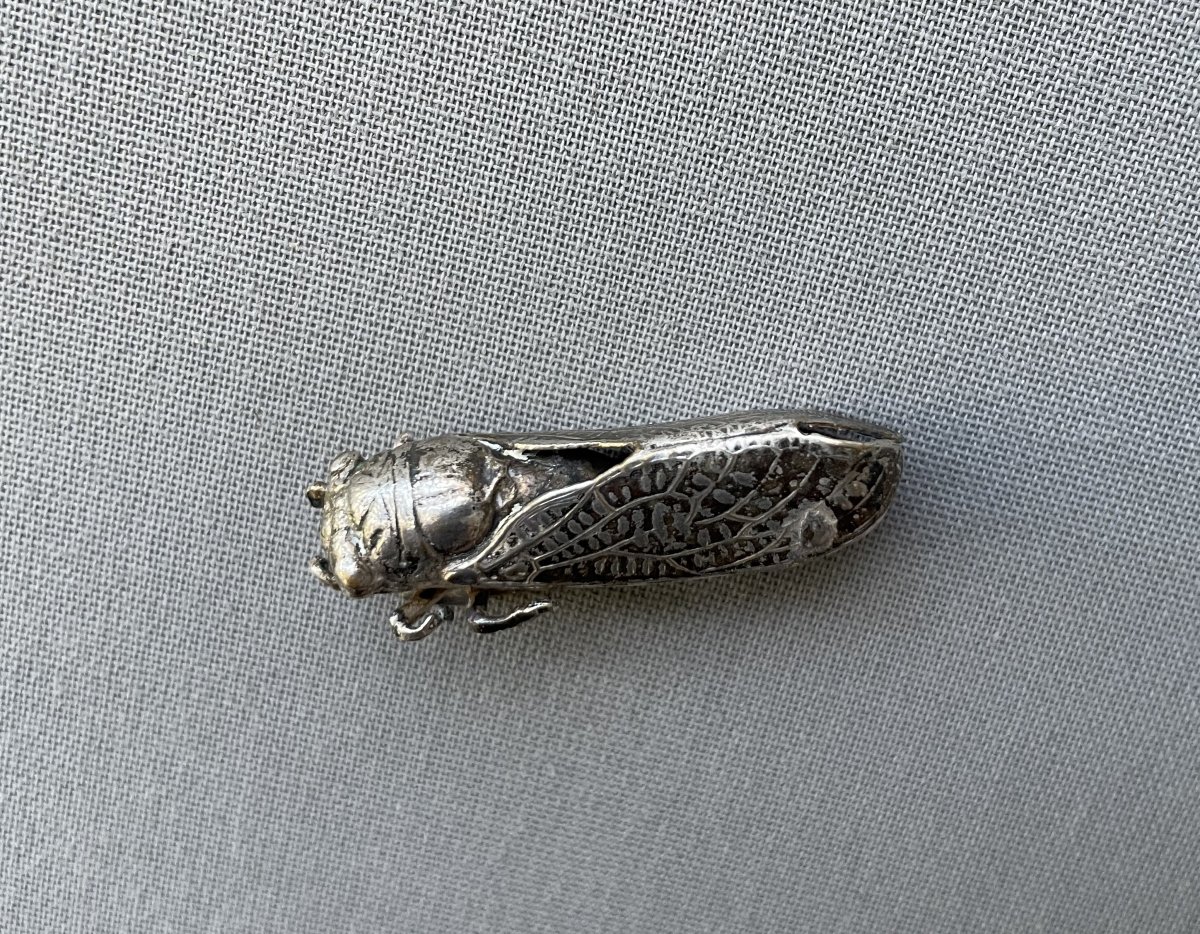 Broche en forme de cigale-photo-2