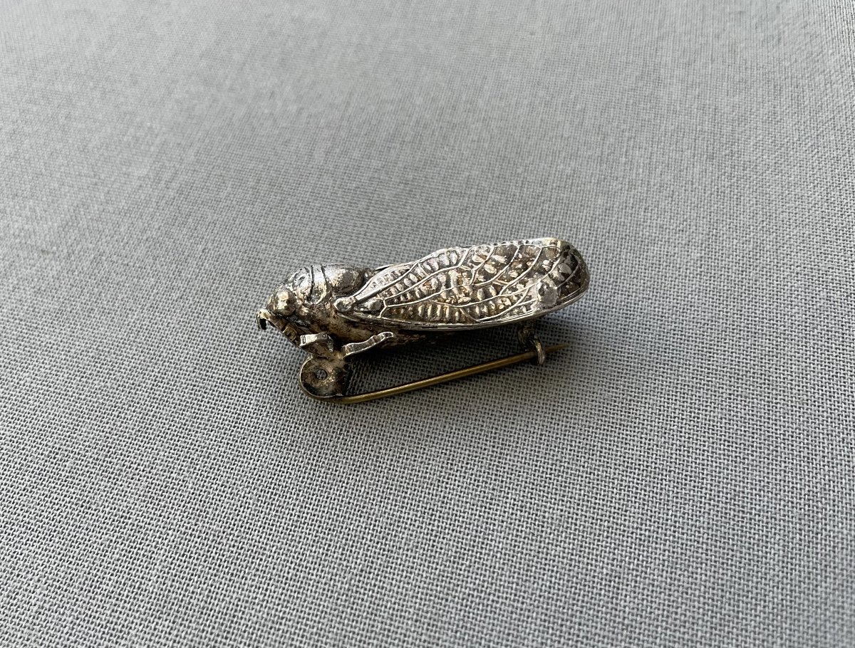Broche en forme de cigale-photo-3