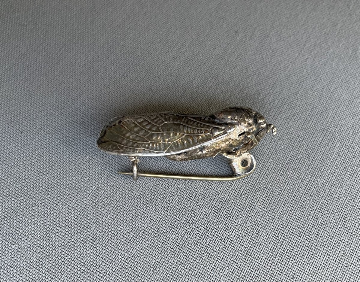 Broche en forme de cigale-photo-4
