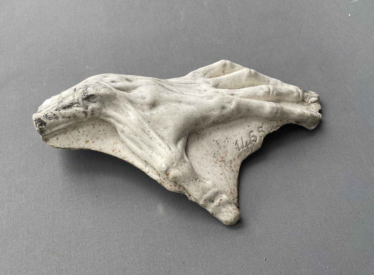 Moulage de main en plâtre