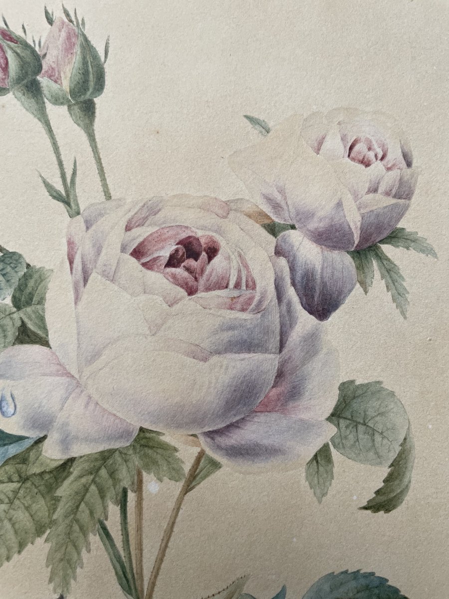 Papillon sur une rose, Aquarelle contresignée Cordier et datée 1829-photo-3