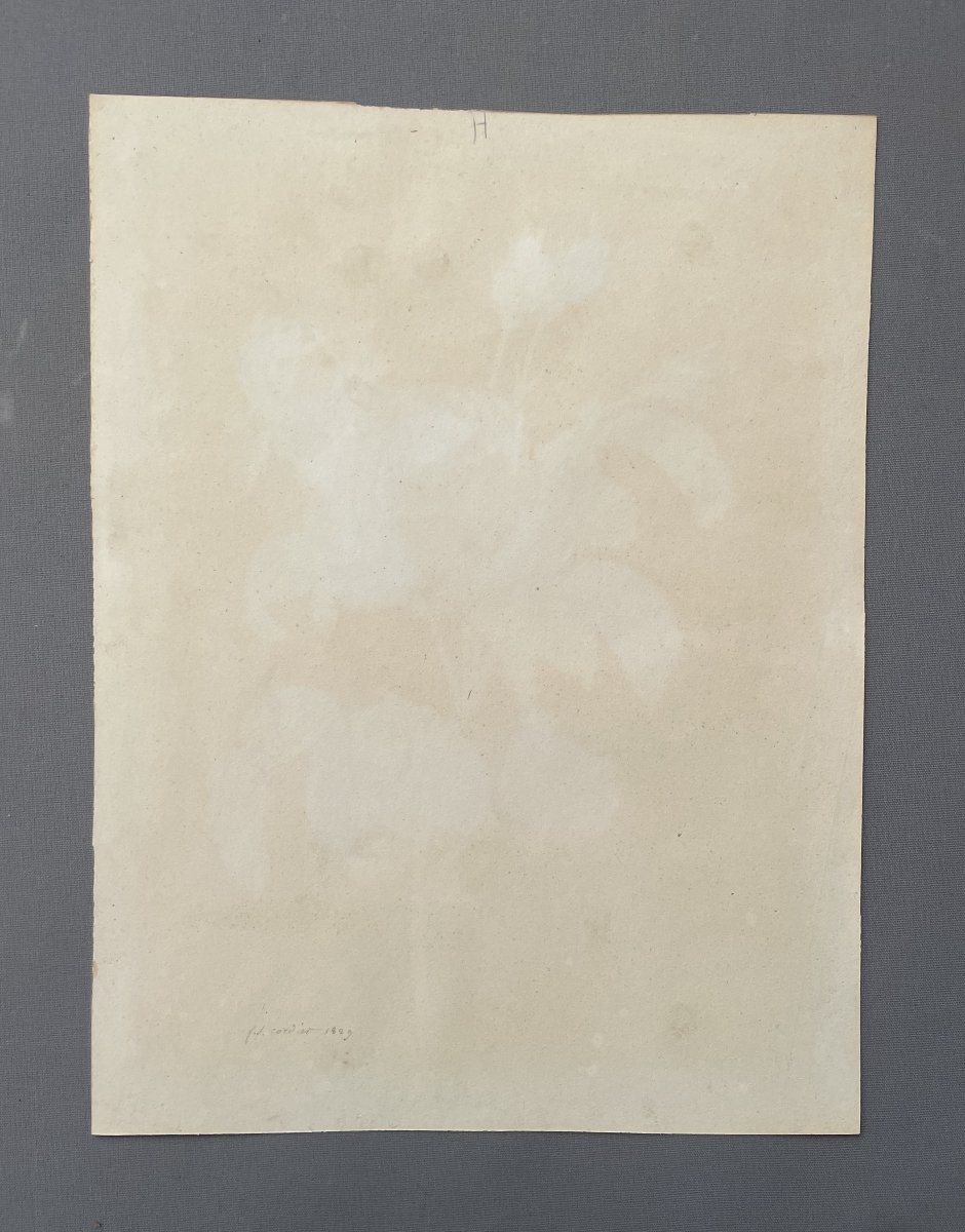 Papillon sur une rose, Aquarelle contresignée Cordier et datée 1829-photo-1