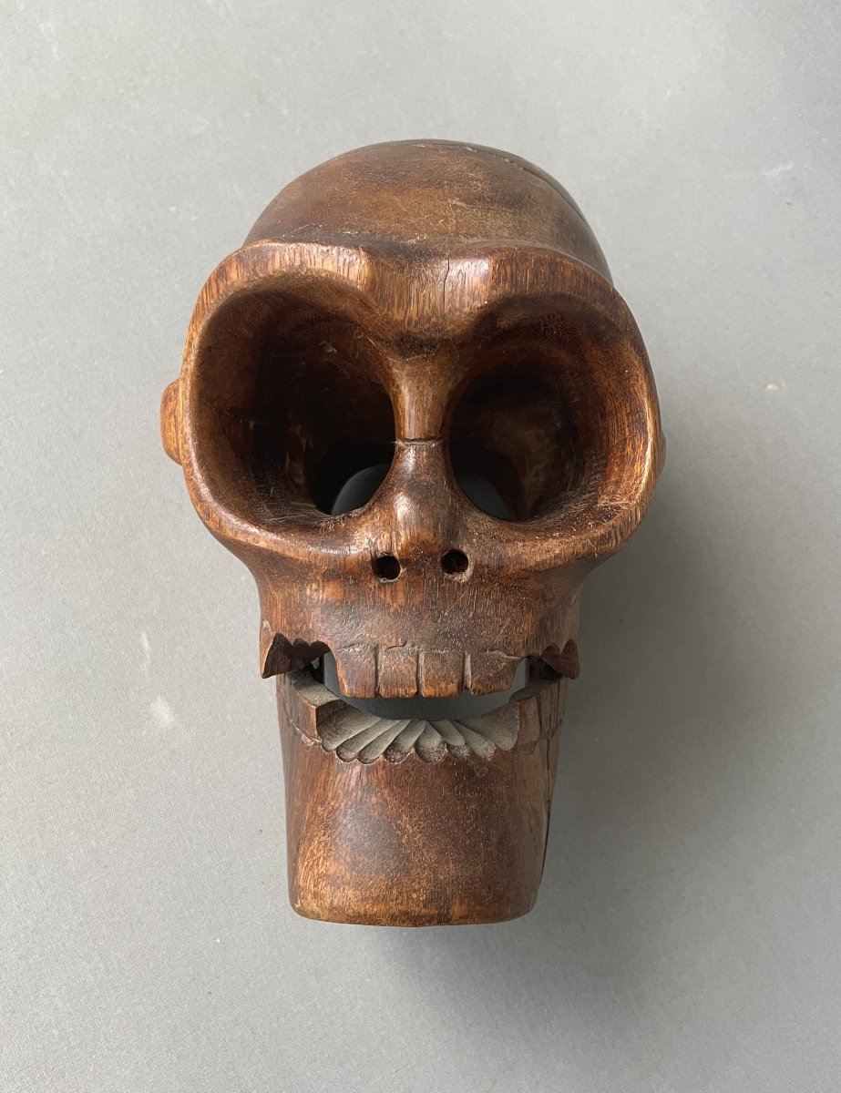 Curiosity, Wooden Skull-photo-2