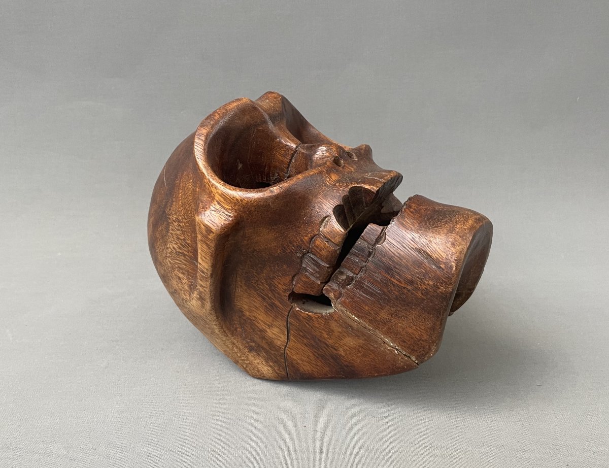 Curiosity, Wooden Skull-photo-3
