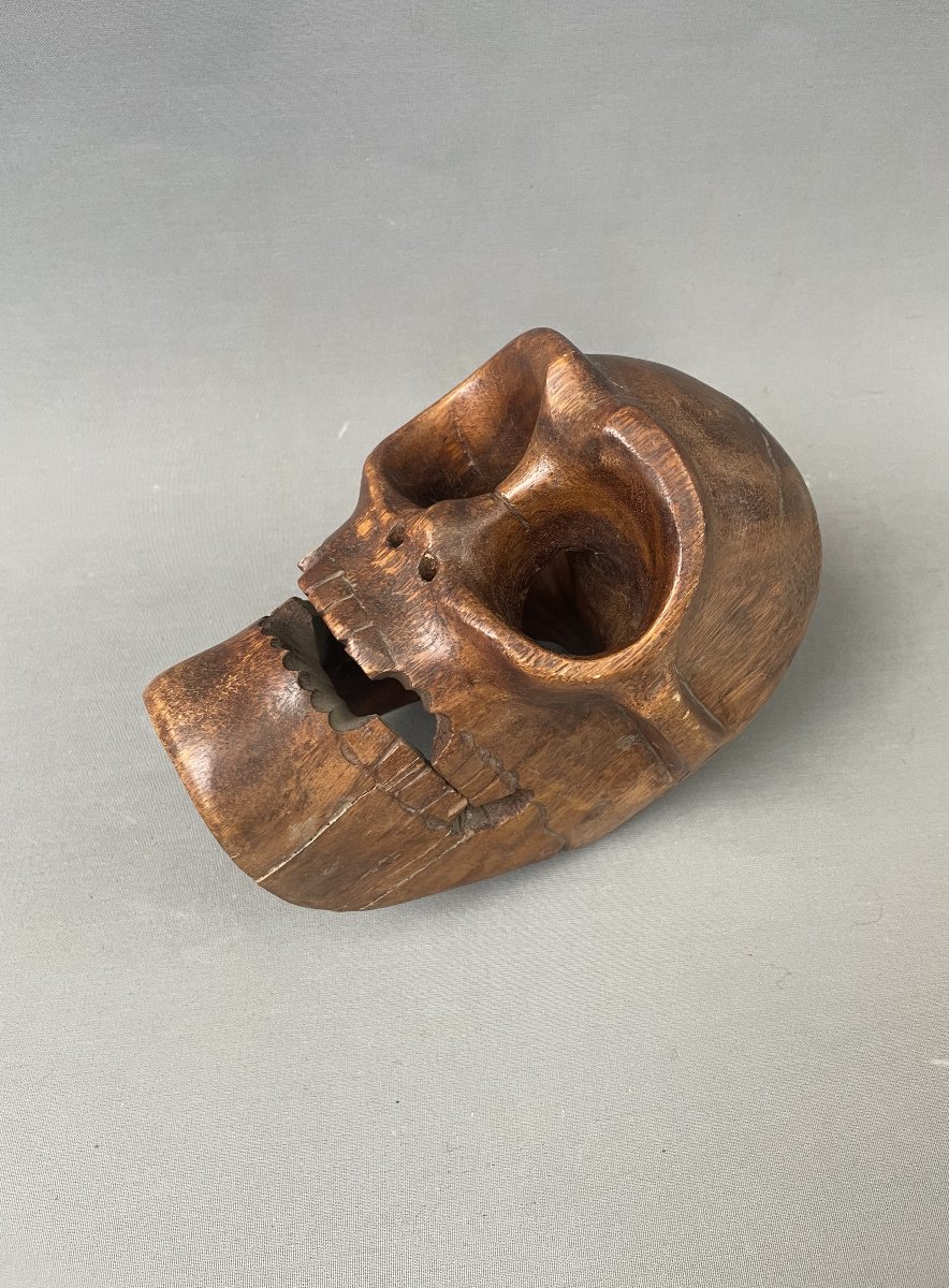 Curiosity, Wooden Skull-photo-1