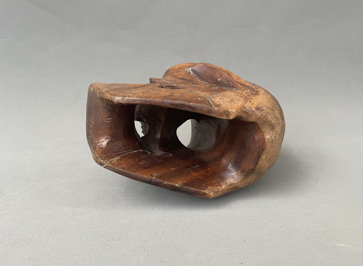 Curiosity, Wooden Skull-photo-2
