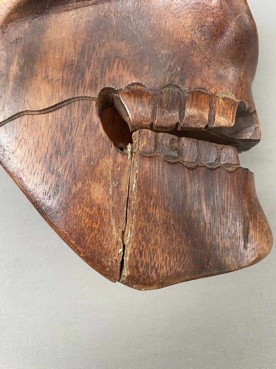 Curiosity, Wooden Skull-photo-3