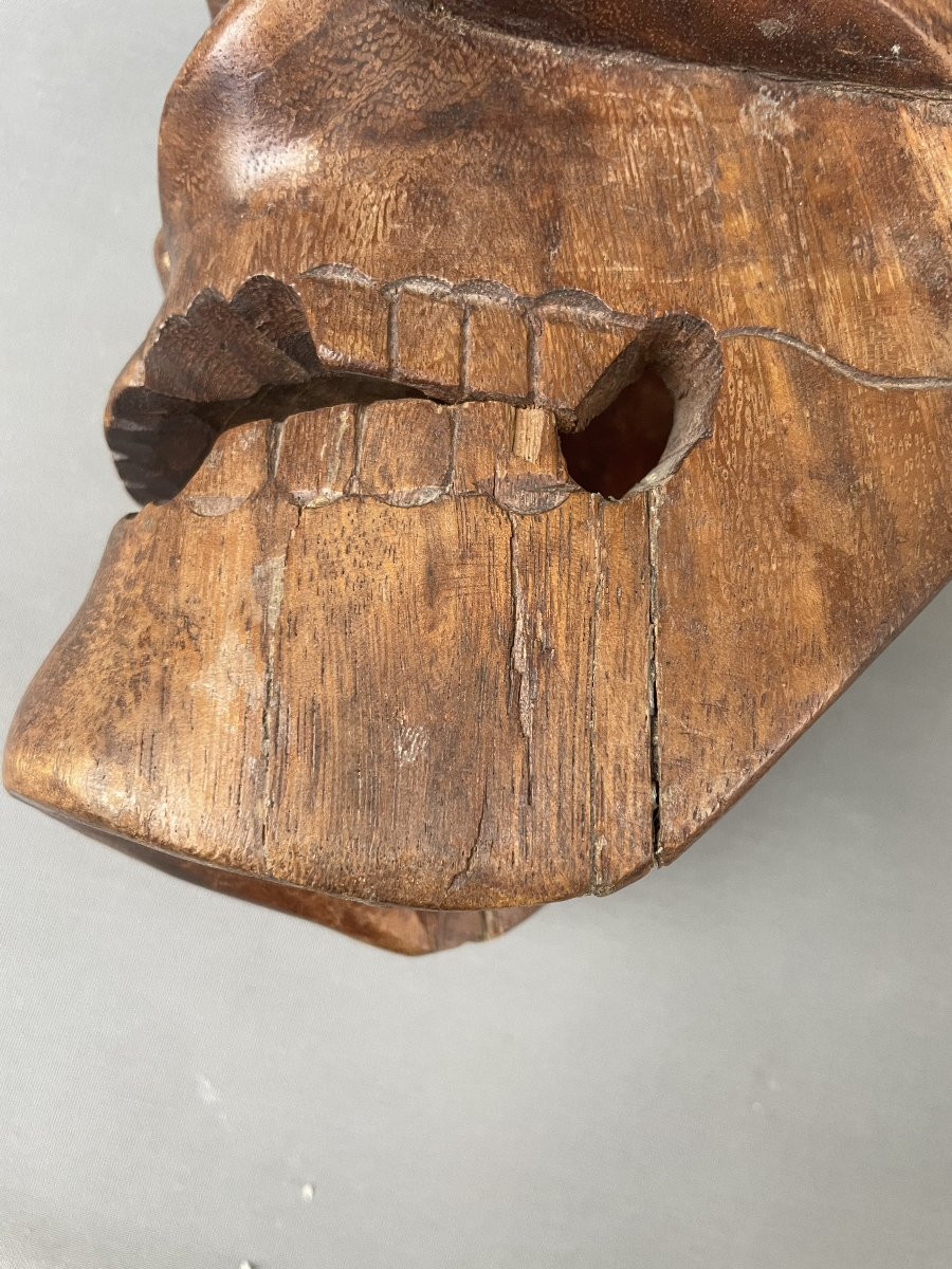 Curiosity, Wooden Skull-photo-4