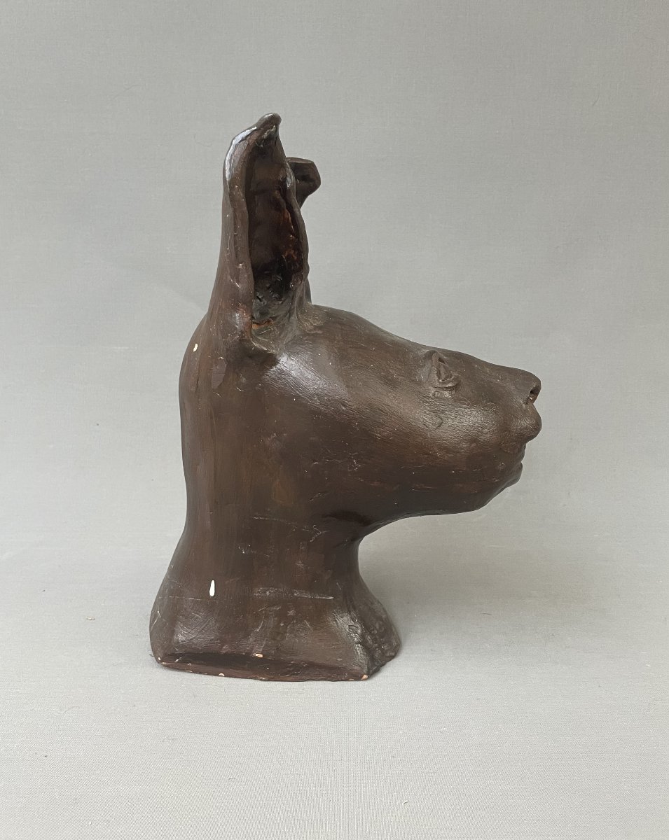 Animal Head, Terracotta Sculpture Signed Ayala?-photo-4