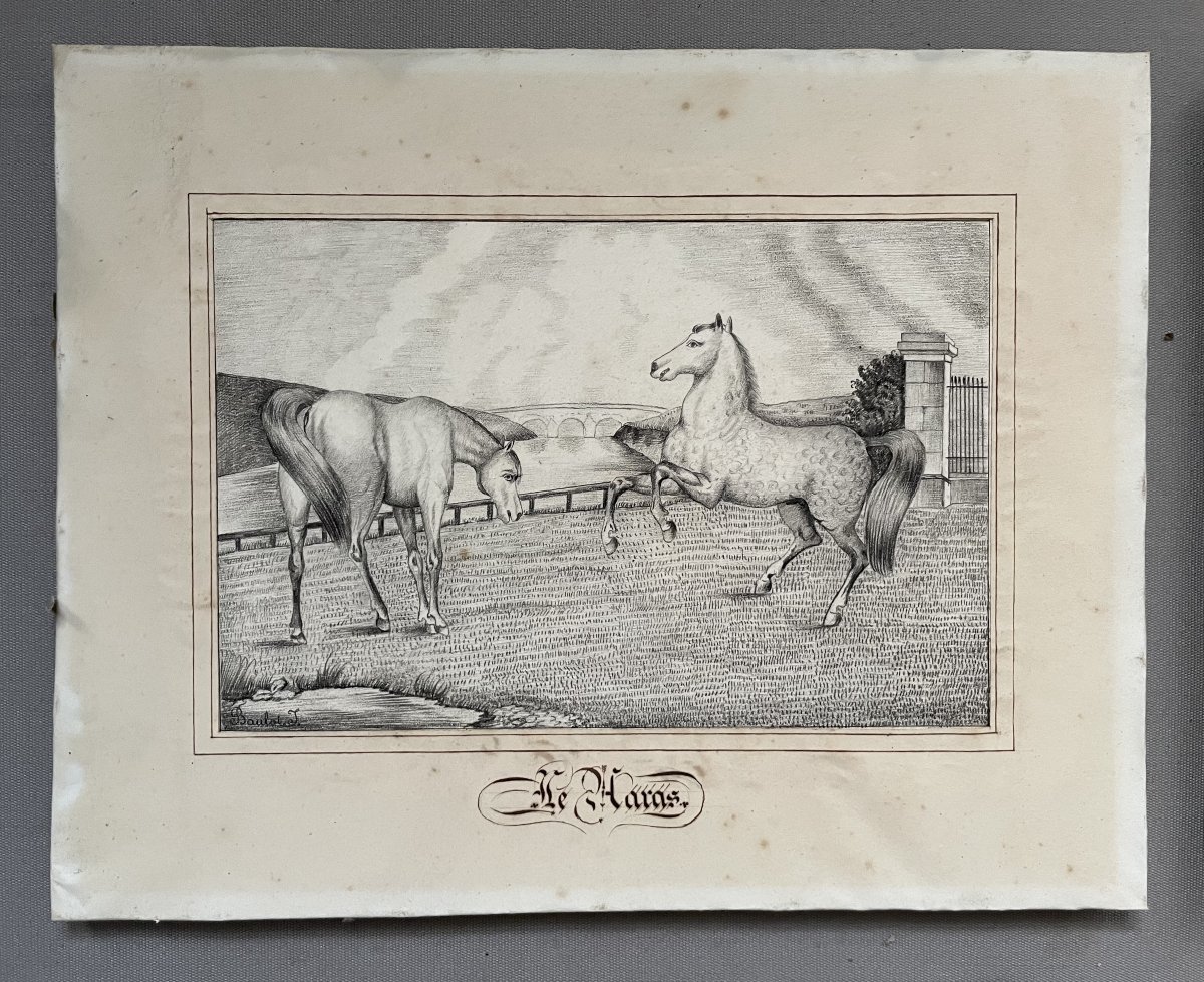 Vie et mort du cheval, quatre dessins signés J. Baulot-photo-2