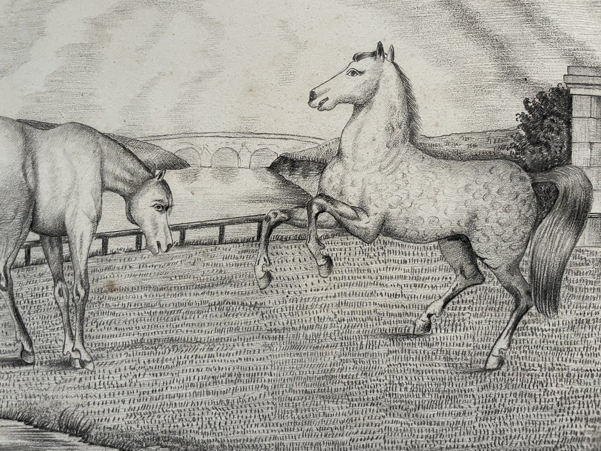 Vie et mort du cheval, quatre dessins signés J. Baulot-photo-2