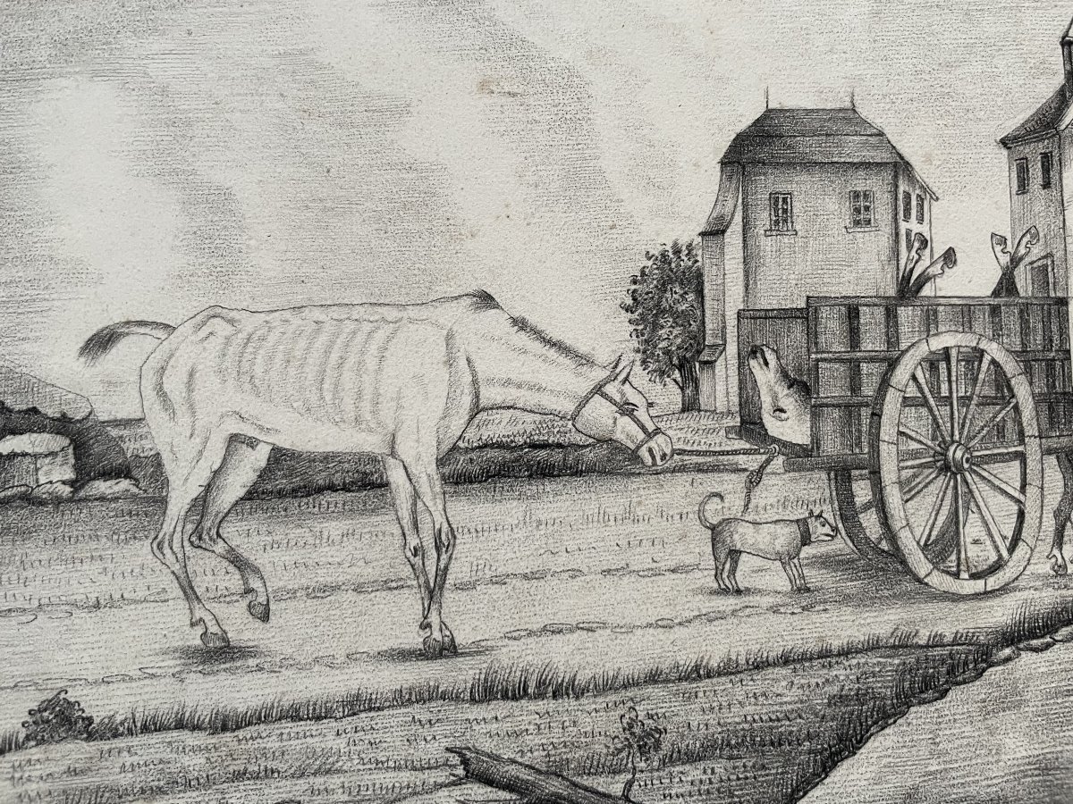 Vie et mort du cheval, quatre dessins signés J. Baulot-photo-5