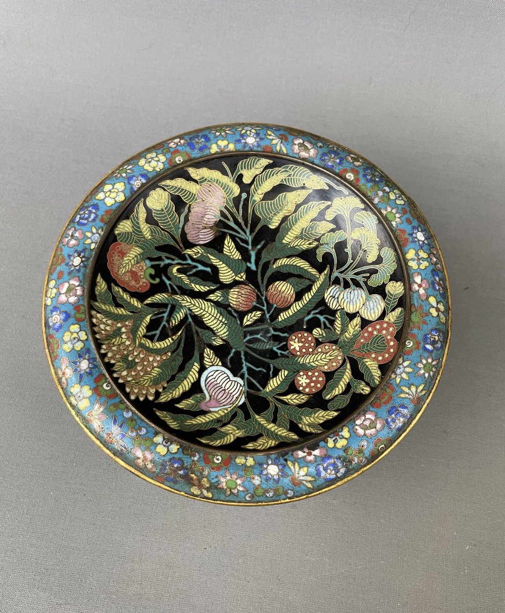 Cloisonné Bowl, China, 19th Century-photo-2