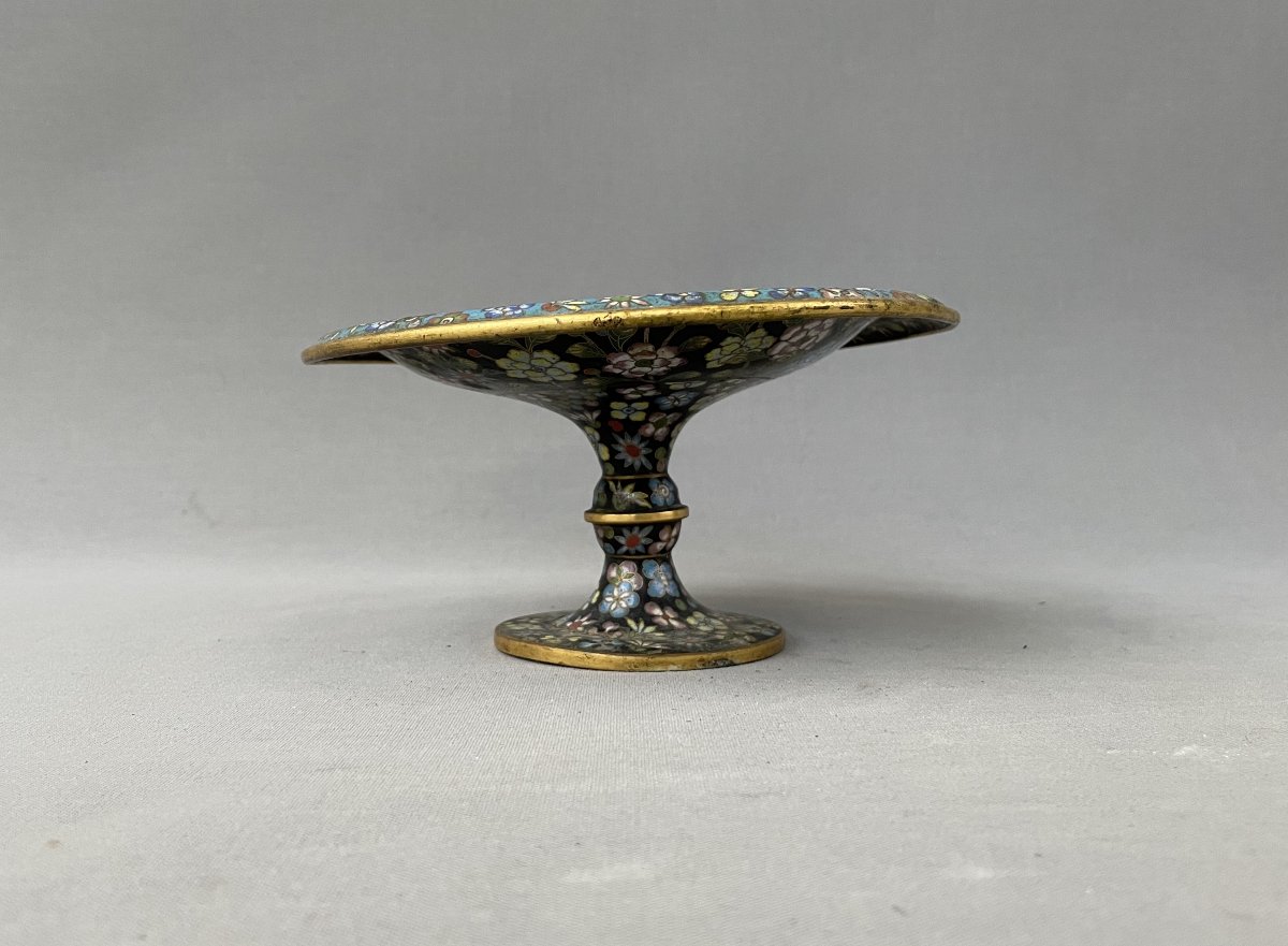 Cloisonné Bowl, China, 19th Century-photo-4